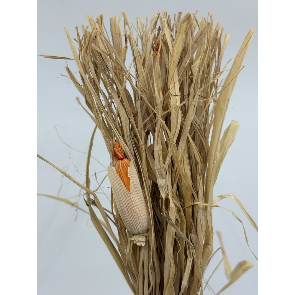 Annalee Thanksgiving Harvest ~ 2009 Pilgrim Boy Mouse w/ Cornstalk ~ 3" Doll - Picture 3 of 6